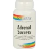 Adrenal Success 60caps - Solaray