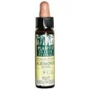 Agrimony Plantis Flores De Bach Nº 01 10Ml.