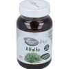 Alfalfa 200 Comp - El Granero
