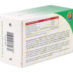 Allersol Blister 60Cap.