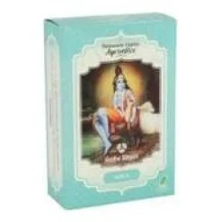 Amla Tratamiento Capilar Ayurvédico Eco 100g - Radhe Shyam
