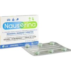Antimareos Jengibre 6 Comp - Nauserina