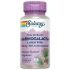 Arabinogalactano (ag Immunoenhacer) 60cap - Solaray