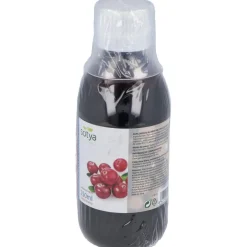 Arandano Rojo Concentrado 250ml - Sotya