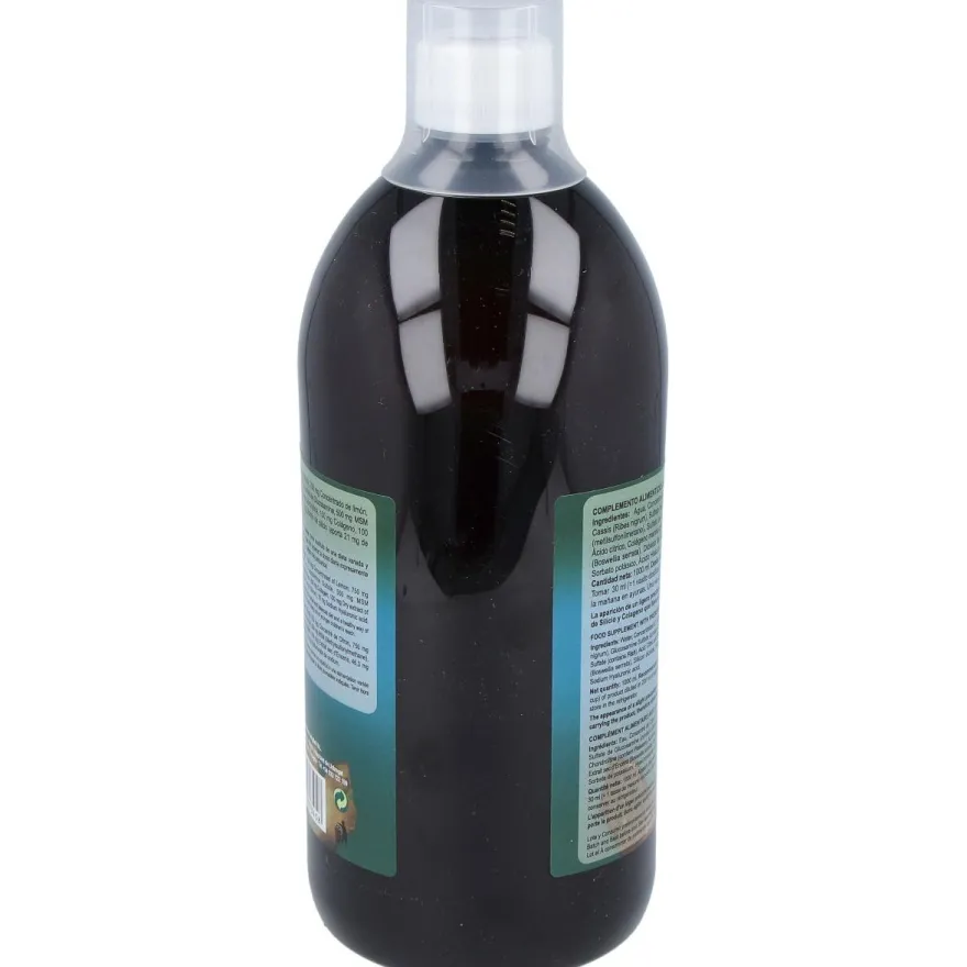Artrion Silicio Complex 1litro - Jellybell
