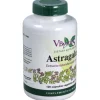 Astragalus Extracto Estandarizado Raíz 120caps - Vbyotics