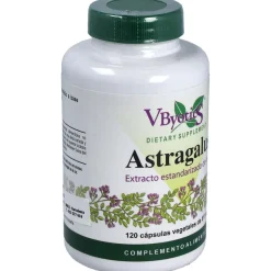 Astragalus Extracto Estandarizado Raíz 120caps - Vbyotics