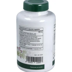 Astragalus Extracto Estandarizado Raíz 120caps - Vbyotics
