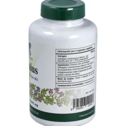 Astragalus Extracto Estandarizado Raíz 120caps - Vbyotics