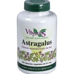 Astragalus Extracto Estandarizado Raíz 120caps - Vbyotics