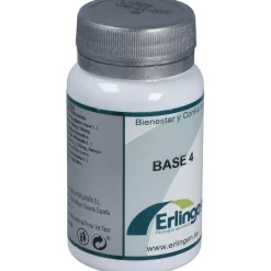 Base 4 60comp - Erlingen
