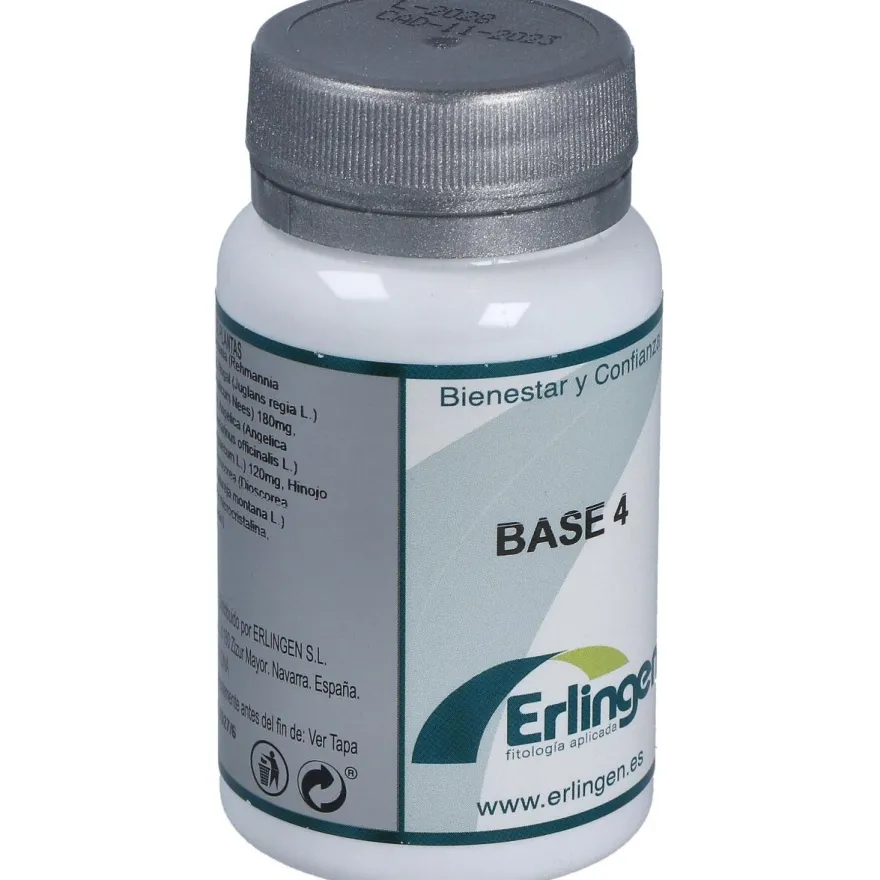 Base 4 60comp - Erlingen