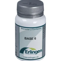 Base 6 60 Cpr - Erlingen
