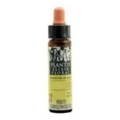 Beech Plantis Flores de Bach Nº 03 10ml - Artesania Agricola