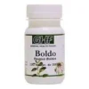 Boldo 500mg 100comp - Ghf
