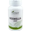 Boswelia 2000 30comp - Plantapol
