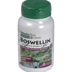 Boswellin 300Mg. 60Cap. Herbal Actives