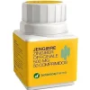 Botanicapharma Jengibre 500 mg 50 Comp - Jengibre