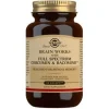 Brain Works 60compr - Solgar