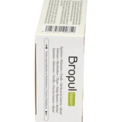 Bropul Balsamicos 60 Comprimidos Masticables - Novadiet