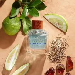 Canyon Escape For Him Eau de Toilette Vaporizador 100 ml - Hollister