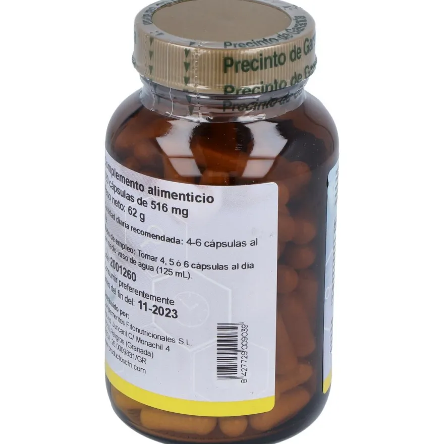 Cfn Enzym Complex 120Caps