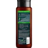 Champú Anticaspa Refrescante Cabello Graso 300ml - Naturvital