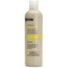 Champú Cabellos Grasocaspa 300ml - Mon Deconatur