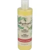 Champú Cabellos Secos y Castigados 300ml - Algologie