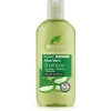 Champu Aloe Vera Organico 265Ml.