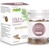 Cola De Caballo Neo (45 Capsulas)