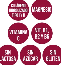 Colageno Con Magnesio + Vit C + Vit B1, B2 Y B6 Polvo Sabor Fresa, 350 g. - Ana Maria Lajusticia