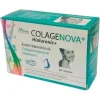 Colagenova Hialurônico + 30caps - Vaminter