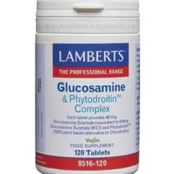 Complejo De Glucosamina Y Phytodroitin 120Comp.