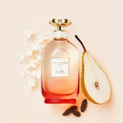 Dreams Sunset Edp Vapo 60 ml - Coach