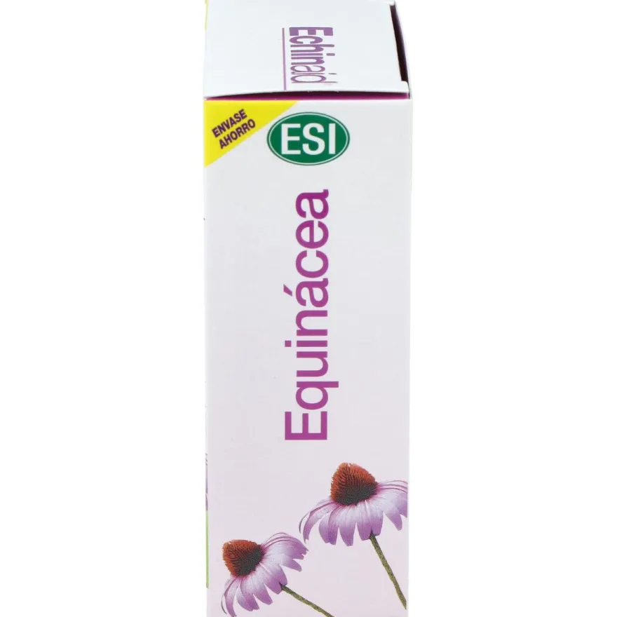 Echinaid Alta Potencia 60Cps