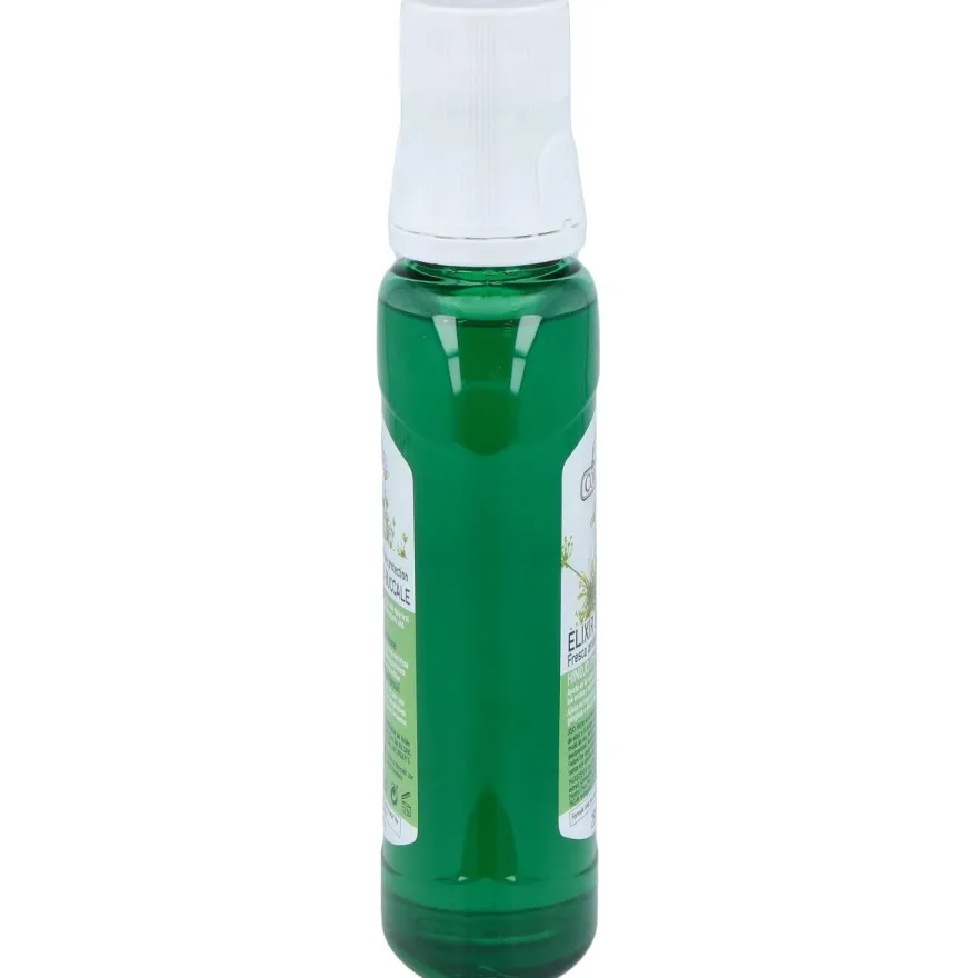 Elixir Bucal Mirra Propolis e Hinojo 250ml - Corpore Sano
