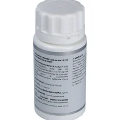 Equisalud Microbiota Bifidobacterium Breve 60Caps
