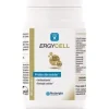 Ergycell 90caps - Nutergia