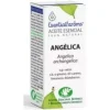 Esential Arôms Aceite Esencial Angélica 5ml - Esential Aroms