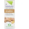 Esential Aroms Esencia Jengibre 10Ml