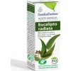 Eucalipto Radiata Aceite Esencial 10ml - Esential Aroms