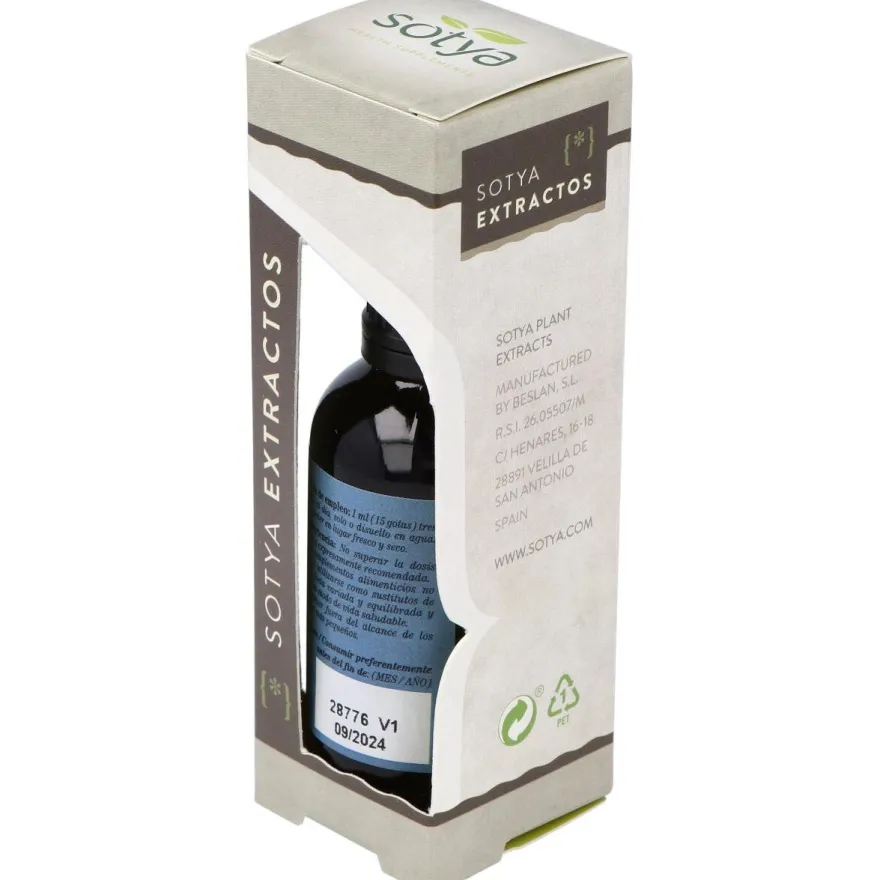 Extracto Ginkgo Biloba 50Ml.