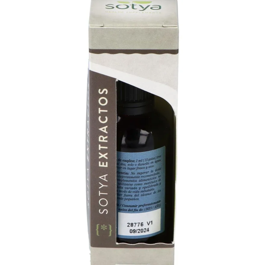 Extracto Ginkgo Biloba 50Ml.