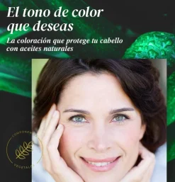 Farmatint (1 Envase 135 ml Tono Negro) - Perrigo