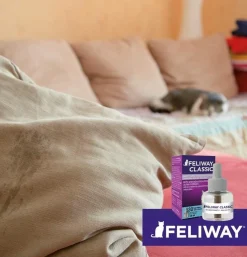 Feliway Recambio 48Ml 1Mes