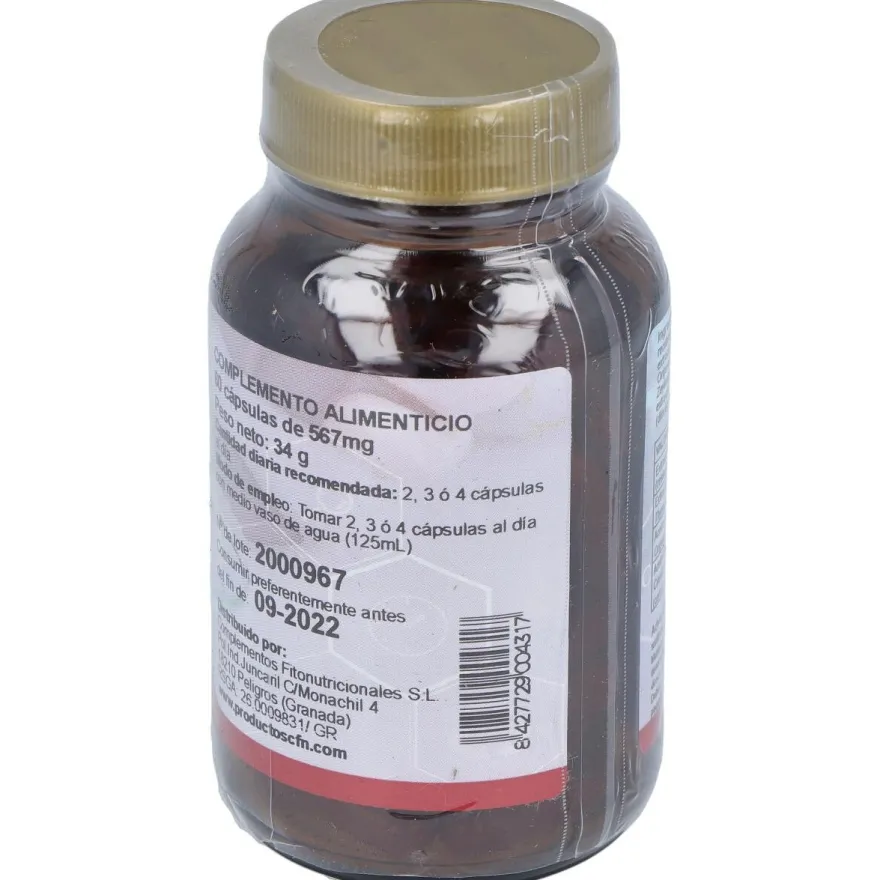 Fgb Complex (Fungibacter) 60Cap. 2