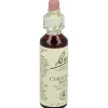 Flores Bach Chestnut Bud Brote Castaño 20ml - Flores de Bach Originales