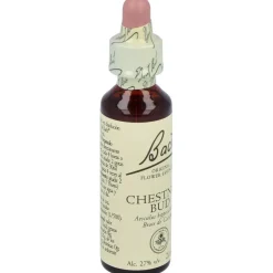 Flores Bach Chestnut Bud Brote Castaño 20ml - Flores de Bach Originales