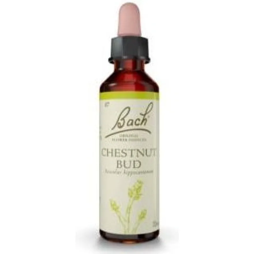 Flores Bach Chestnut Bud Brote Castaño 20ml - Flores de Bach Originales